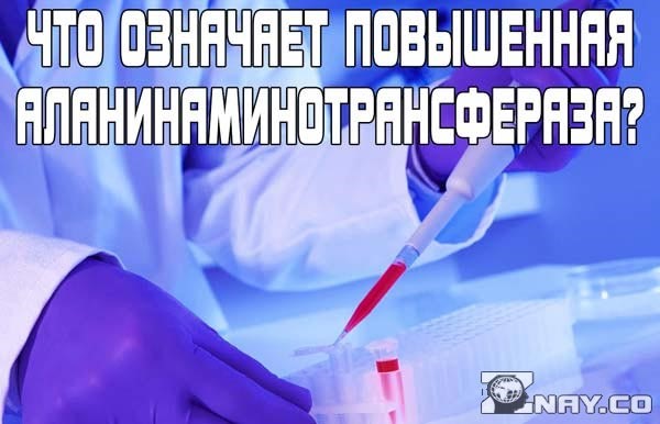Что означает повышенный уровень АЛТ в крови? Что означает повышенный уровень АЛТ в крови?