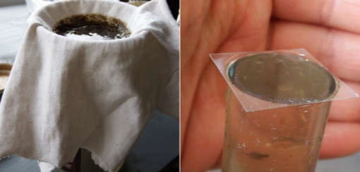 Как правильно сдавать анализ кала на яйца глистов? Как правильно сдавать анализ кала на яйца глистов?