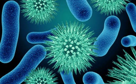 Как правильно сдавать анализ кала на яйца глистов? Как правильно сдавать анализ кала на яйца глистов?