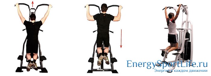 Строение мышц спины и их заболевания Строение мышц спины и их заболевания