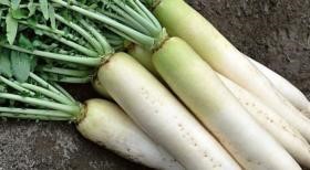 Какими симптомами проявляется и что поможет вовремя распознать аппендицит? Какими симптомами проявляется и что поможет вовремя распознать аппендицит?