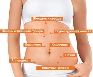 Болит желудок с левой стороны Болит желудок с левой стороны