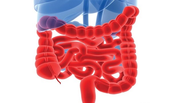 Боль в спине слева Боль в спине слева