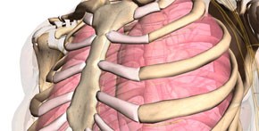 Болит спина и тяжело дышать Болит спина и тяжело дышать