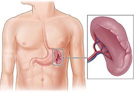 Болит спина и тяжело дышать Болит спина и тяжело дышать