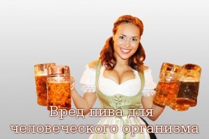 Почему желудок болит после употребления алкоголя? Почему желудок болит после употребления алкоголя?