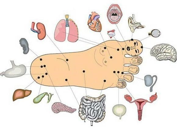 Болит стопа снизу возле пальцев: почему болят подушечки, чем лечить ступню Болит стопа снизу возле пальцев: почему болят подушечки, чем лечить ступню