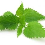 Как лечить брадикардию народными средствами Как лечить брадикардию народными средствами