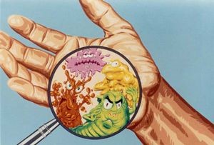 Особенности лечения бульбита народными средствами Особенности лечения бульбита народными средствами