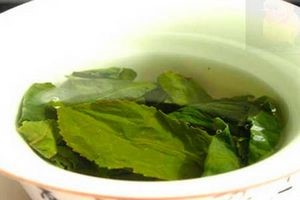 Особенности лечения бульбита народными средствами Особенности лечения бульбита народными средствами