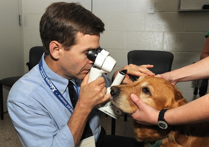 Что делать, если понос не проходит от нескольких дней до недели Что делать, если понос не проходит от нескольких дней до недели