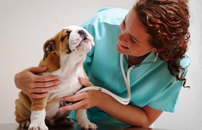 Что делать, если понос не проходит от нескольких дней до недели Что делать, если понос не проходит от нескольких дней до недели