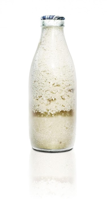 Как очистить организм от паразитов в домашних условиях? Как очистить организм от паразитов в домашних условиях?