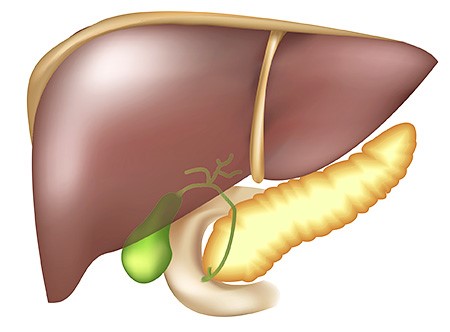 Боли после удаления желчного пузыря Боли после удаления желчного пузыря