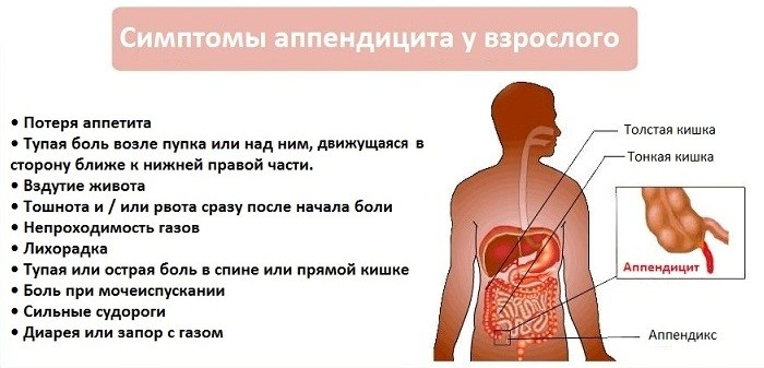Тупая боль в правом боку со спины Тупая боль в правом боку со спины