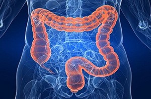 Процедуры, необходимые перед УЗИ брюшной полости Процедуры, необходимые перед УЗИ брюшной полости