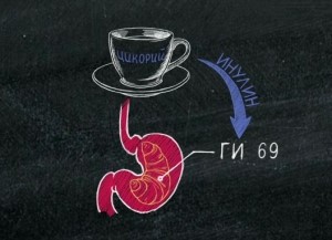 Употребление цикория при гастрите Употребление цикория при гастрите