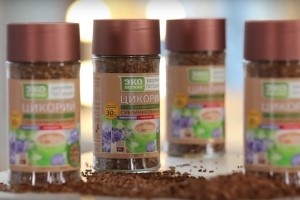 Употребление цикория при гастрите Употребление цикория при гастрите