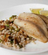 Для чего нужна диета при хроническом панкреатите у взрослых и как ее соблюдать Для чего нужна диета при хроническом панкреатите у взрослых и как ее соблюдать