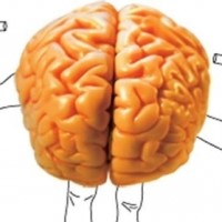 Медикаментозное лечение аритмии: обзор препаратов Медикаментозное лечение аритмии: обзор препаратов