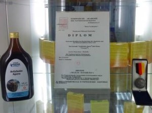 Артишок для печени: показания к применению и отзывы Артишок для печени: показания к применению и отзывы