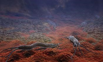 Причины и способы борьбы с температурой при гастрите Причины и способы борьбы с температурой при гастрите