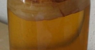 Причины и способы борьбы с температурой при гастрите Причины и способы борьбы с температурой при гастрите