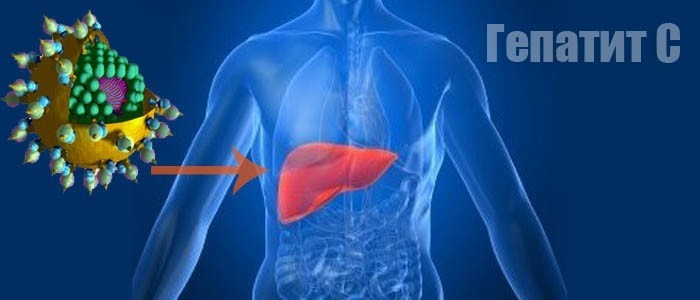 Специфика проявления гепатита В у женщин Специфика проявления гепатита В у женщин