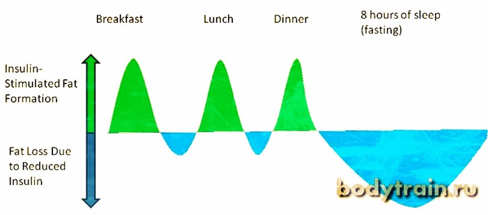 Где вырабатывается гормон инсулин Где вырабатывается гормон инсулин