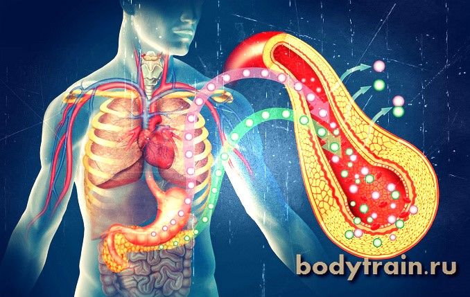 Где вырабатывается гормон инсулин Где вырабатывается гормон инсулин