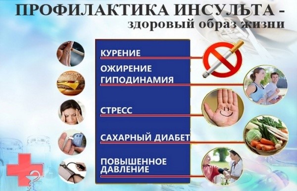 Причины инсульта головного мозга Причины инсульта головного мозга