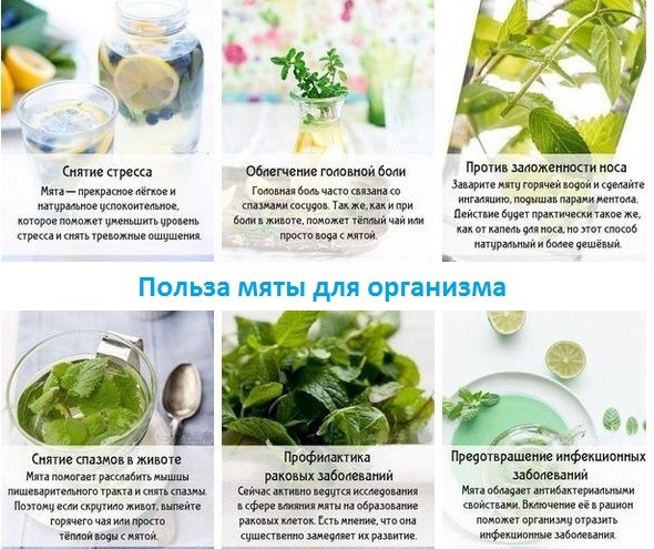 Ишемическая болезнь головного мозга: почему возникает, эффект от лечения Ишемическая болезнь головного мозга: почему возникает, эффект от лечения