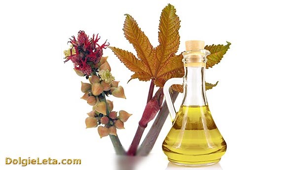 Касторка как слабительное: как принимать касторовое масло в случае запора Касторка как слабительное: как принимать касторовое масло в случае запора