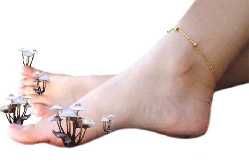 Можно ли вылечить остеопороз: как и чем лечить заболевание Можно ли вылечить остеопороз: как и чем лечить заболевание