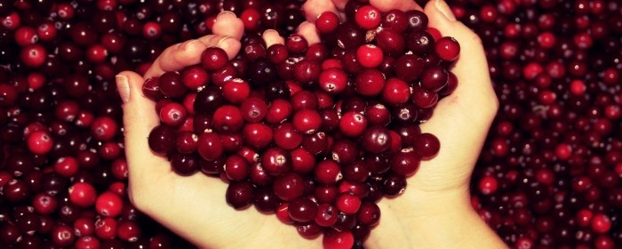 Витамины для сосудов: сердца, мозга, ног и глаз Витамины для сосудов: сердца, мозга, ног и глаз