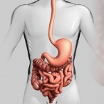 Таблетки для чистки кишечника Таблетки для чистки кишечника