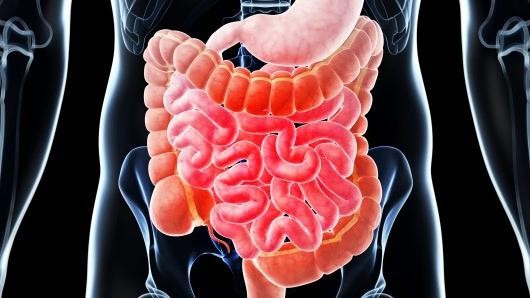 Таблетки для чистки кишечника Таблетки для чистки кишечника