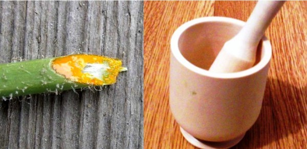 Способы очищения кишечника народными средствами и травами Способы очищения кишечника народными средствами и травами