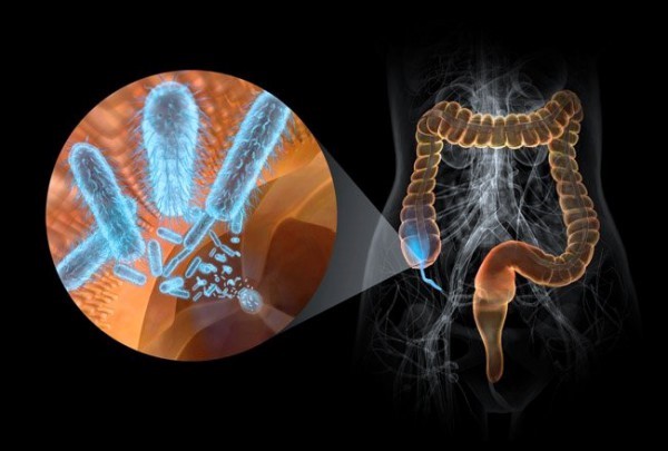 Способы очищения кишечника народными средствами и травами Способы очищения кишечника народными средствами и травами