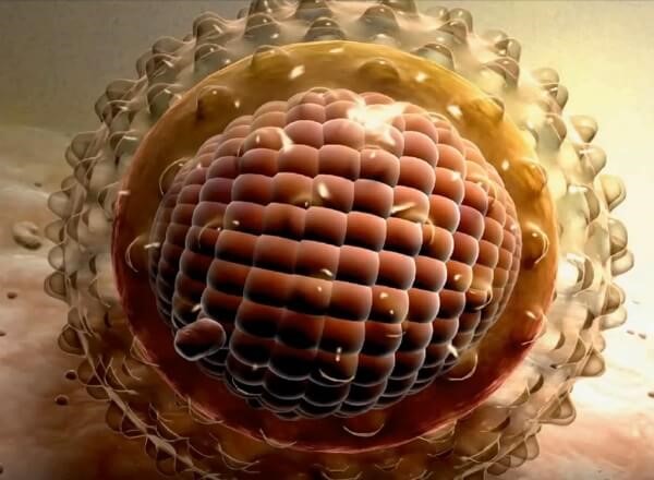 Как передается гепатит В Как передается гепатит В