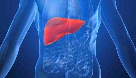 Риск инфицирования гепатитом C в бытовых условиях Риск инфицирования гепатитом C в бытовых условиях