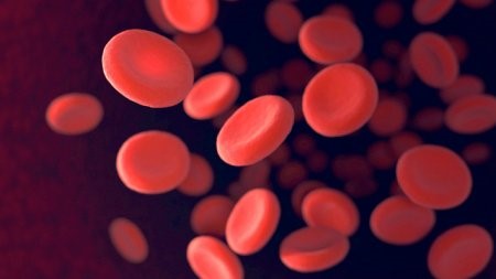 Риск инфицирования гепатитом C в бытовых условиях Риск инфицирования гепатитом C в бытовых условиях