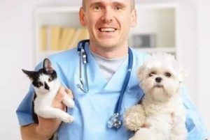 Способы и порядок промывания желудка при отравлении Способы и порядок промывания желудка при отравлении