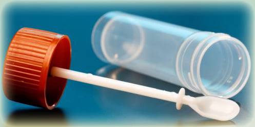 Как правильно собрать кал на дисбиоз? Расшифровка анализа Как правильно собрать кал на дисбиоз? Расшифровка анализа