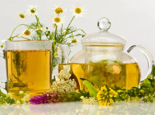 Способы, как вывести мокроту из бронхов Способы, как вывести мокроту из бронхов