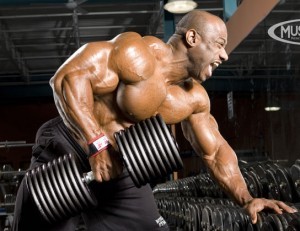 Анатомические особенности широчайших мышц спины Анатомические особенности широчайших мышц спины