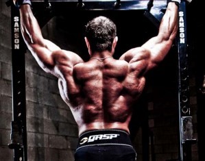 Анатомические особенности широчайших мышц спины Анатомические особенности широчайших мышц спины