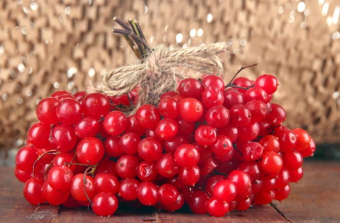 Применение калины при гипертонии Применение калины при гипертонии