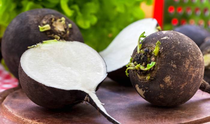 Клебсиелла: симптомы, лечение, пневмония у детей Клебсиелла: симптомы, лечение, пневмония у детей