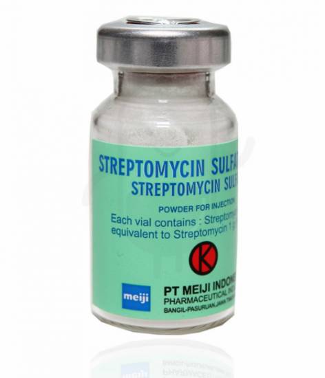 Клебсиелла: симптомы, лечение, пневмония у детей Клебсиелла: симптомы, лечение, пневмония у детей